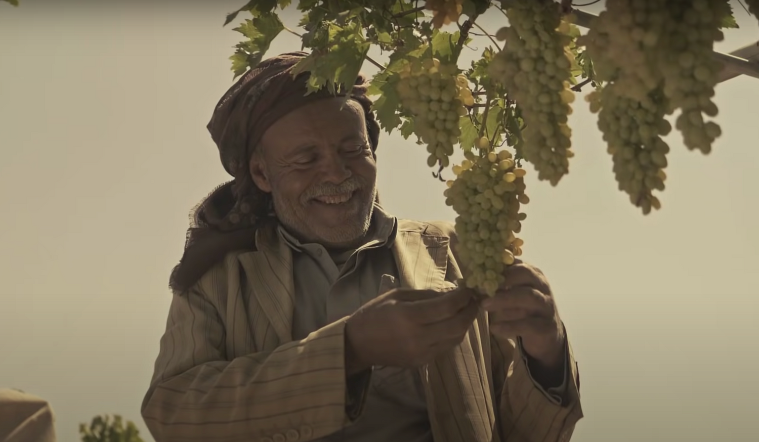 Neither the Dates of the Levant nor the Grapes of Yemen Lasted for Long