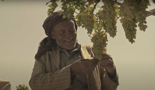Neither the Dates of the Levant nor the Grapes of Yemen Lasted for Long